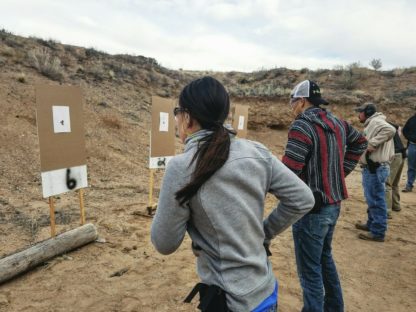 Introduction to Handgun - Image 3