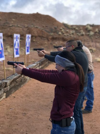 Introduction to Handgun - Image 2